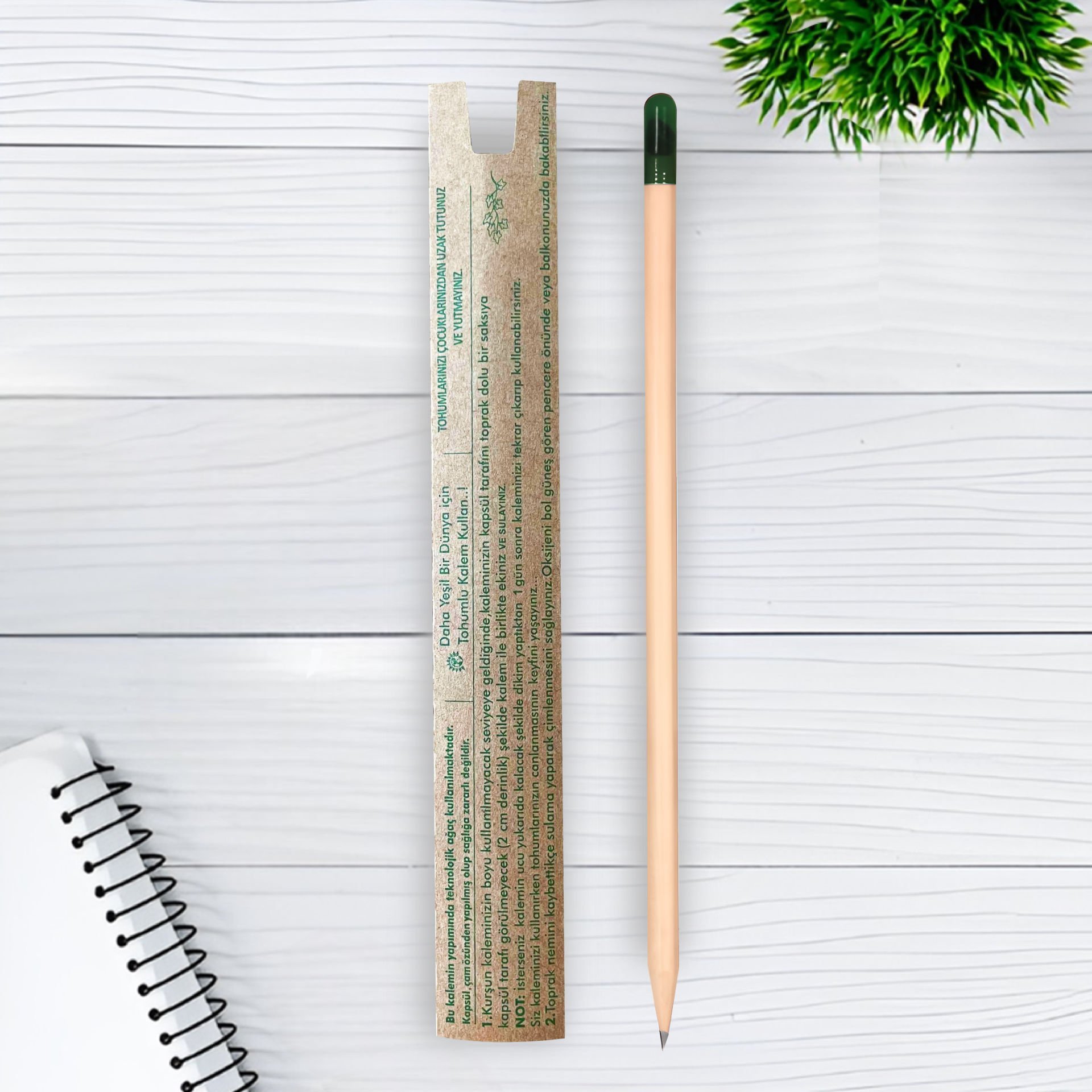Çevre Dostu Tohumlu Kurşun Kalem